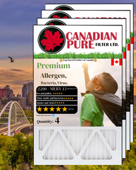 Premium Allergen Defence Filter (4 Pack)