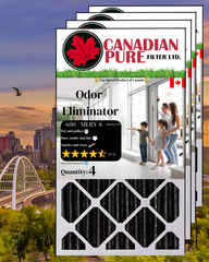 Odour Eliminator Filter (4 Pack)